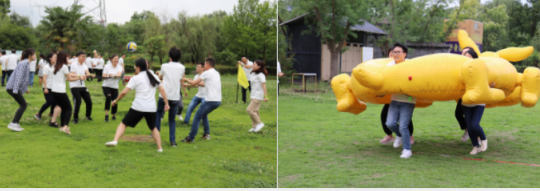 1603775761(1).png